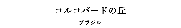 コルコバードの丘