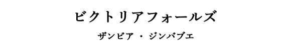 ビクトリアフォールズ