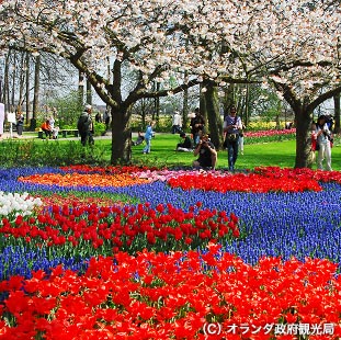 キューケンホフ公園