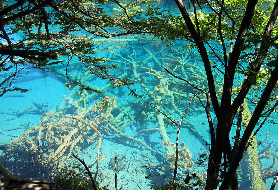 九寨溝・臥龍海